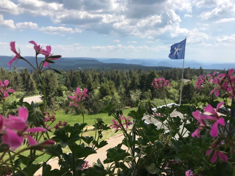 Ausblick Wellness- & Nationalpark Hotel Schliffkopf, BW Signature Collection by Best Western