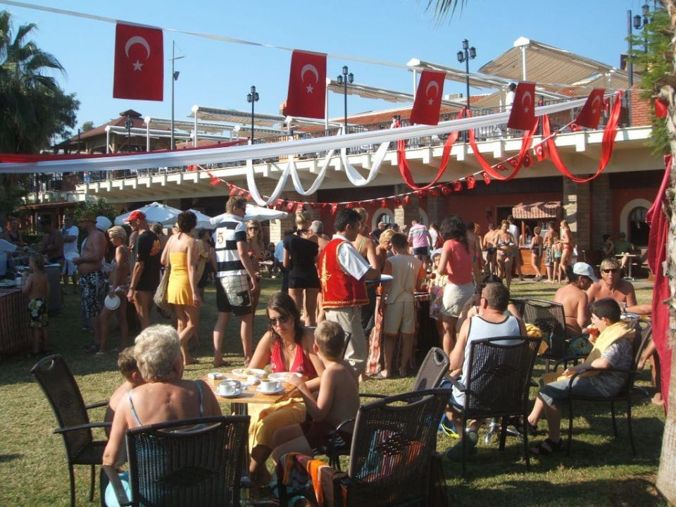 Türkischer Nachmittag Papillon Belvil