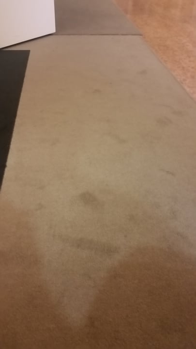 Lobby Best Western Plus Hotel Dresden City