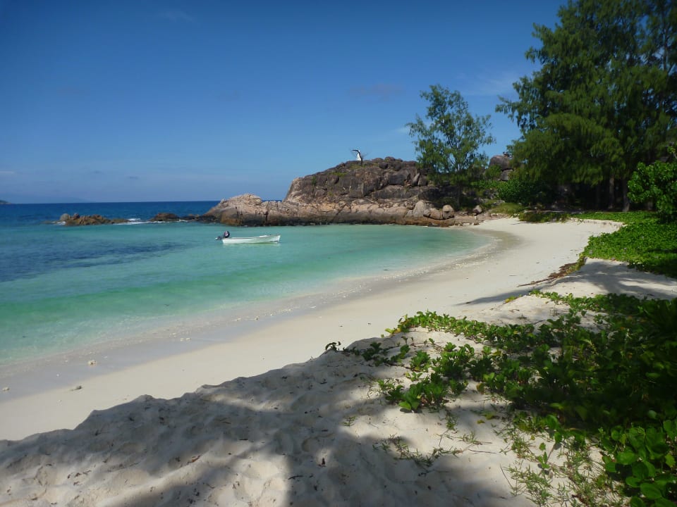 Strand Constance Lemuria