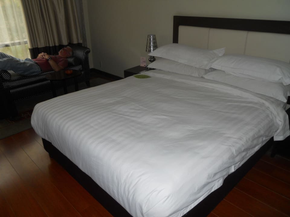 Zimmer Himalaya Hotel