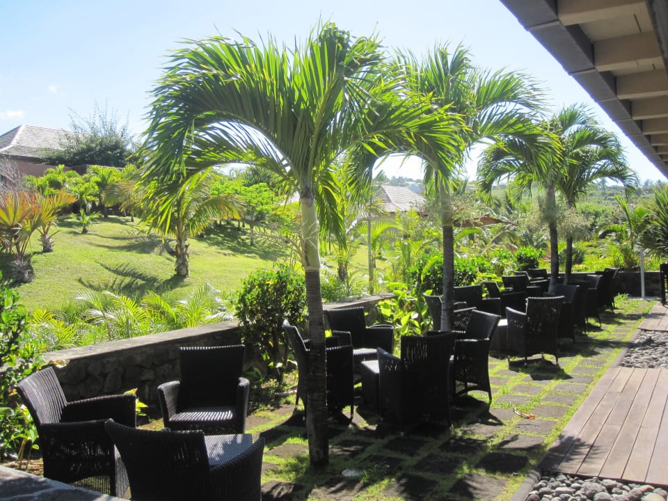 Plätze zum Verweilen Palm Hotel & Spa