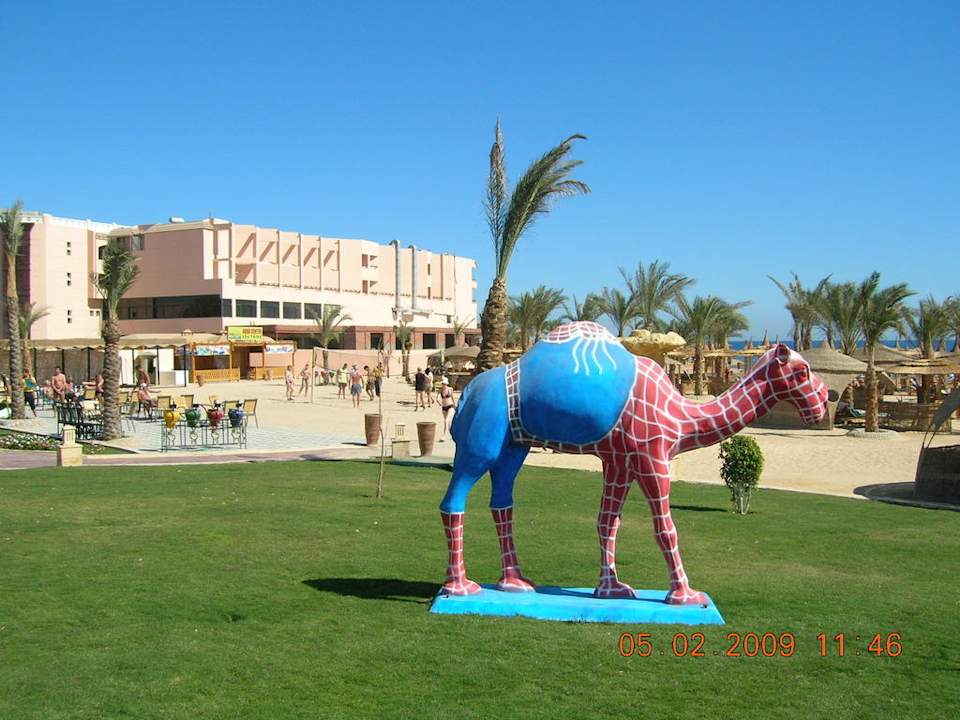 Dekokamel Pickalbatros Palace Resort