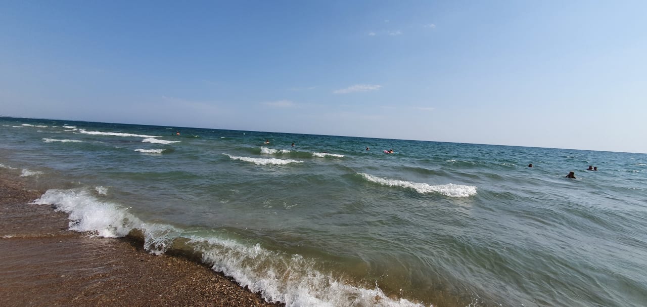 Strand Seashell Vega