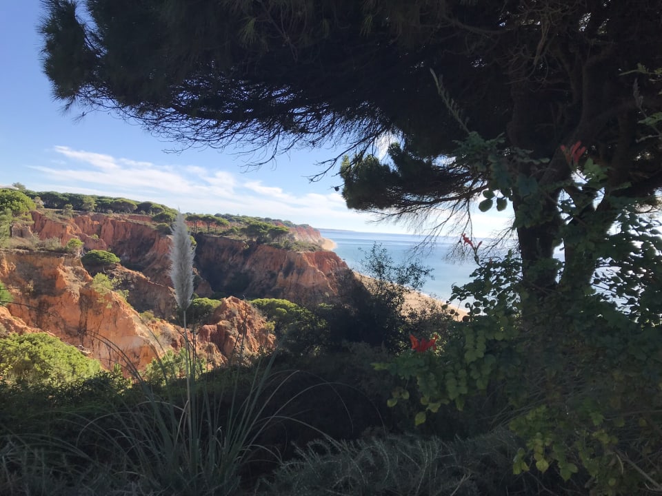 Gartenanlage PortoBay Falésia