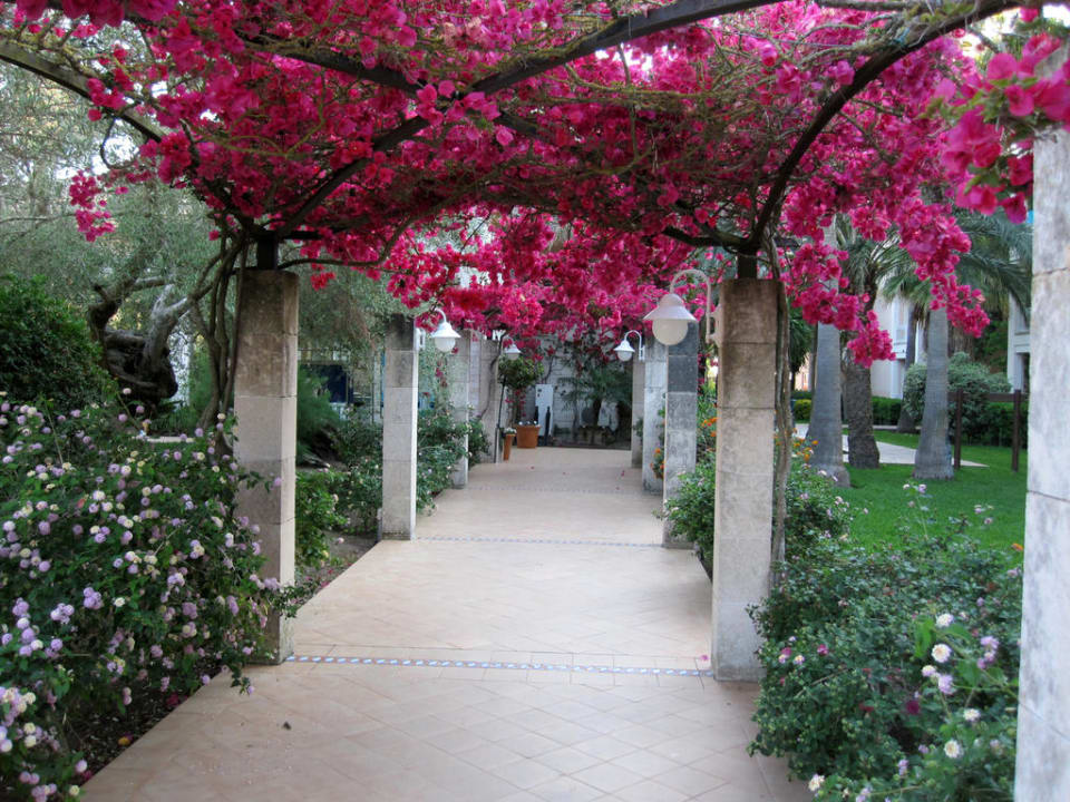 Weg im Hotelkomplex Playa Garden Selection Hotel & Spa