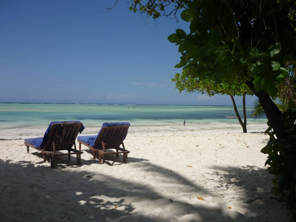 Relaxing Neptune Pwani Beach Resort & Spa