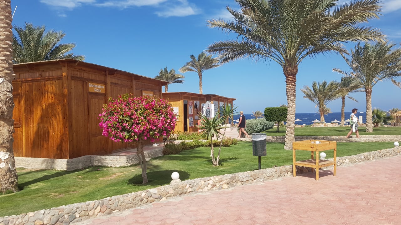 Gartenanlage Three Corners Sea Beach Resort