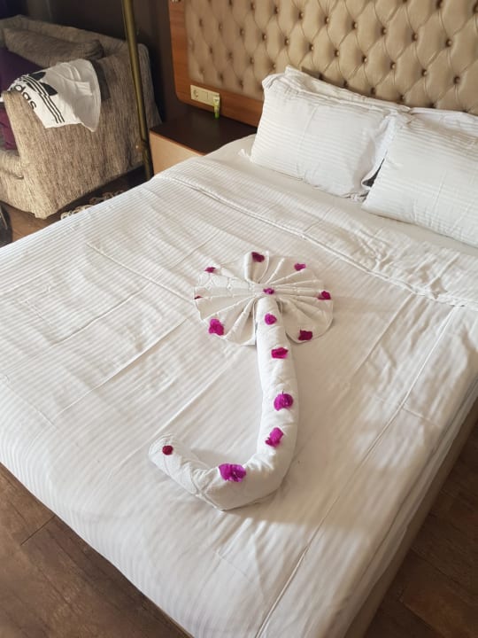 Zimmer Michell Hotel & Spa