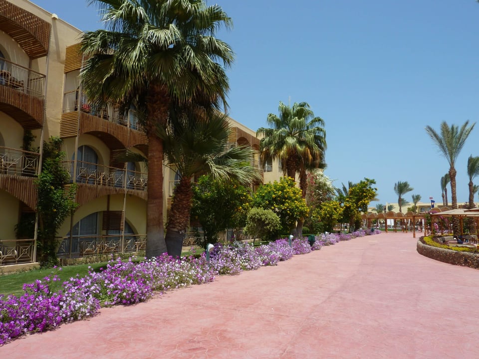 Hotelanlage 3 Desert Rose