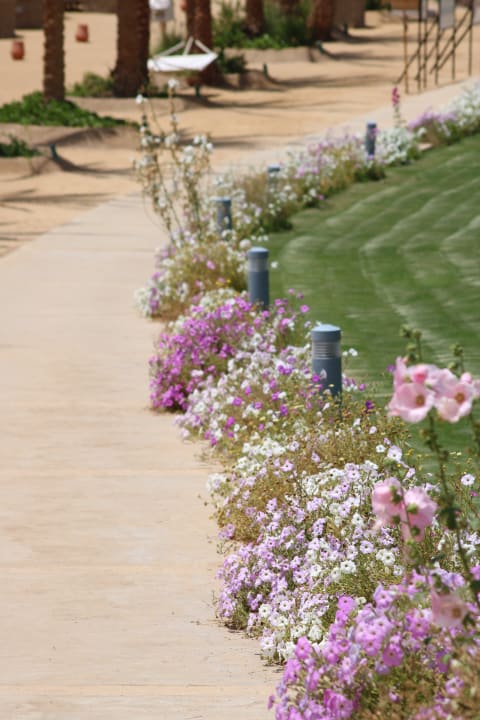 Gartenanlage Steigenberger Coraya Beach - Adults only