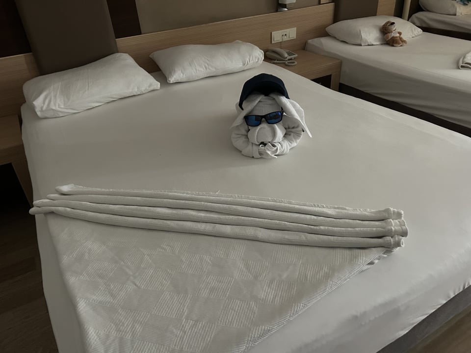 Zimmer Telatiye Resort