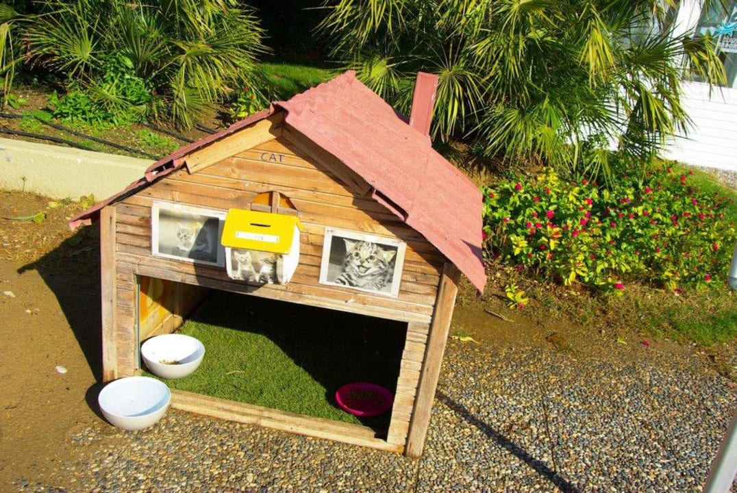 Stand am 12.12.2011 TUI BLUE Xanthe