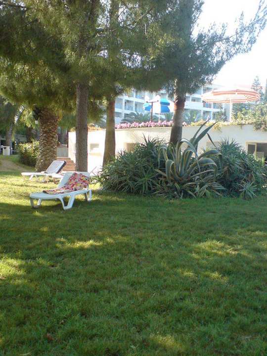 Auf dem Rasen im Garten Top Hotel