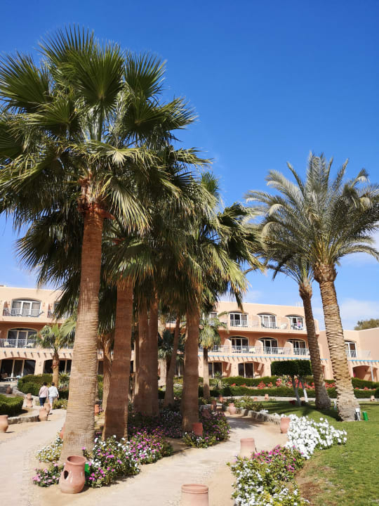 Gartenanlage Club Paradisio El Gouna, Red Sea