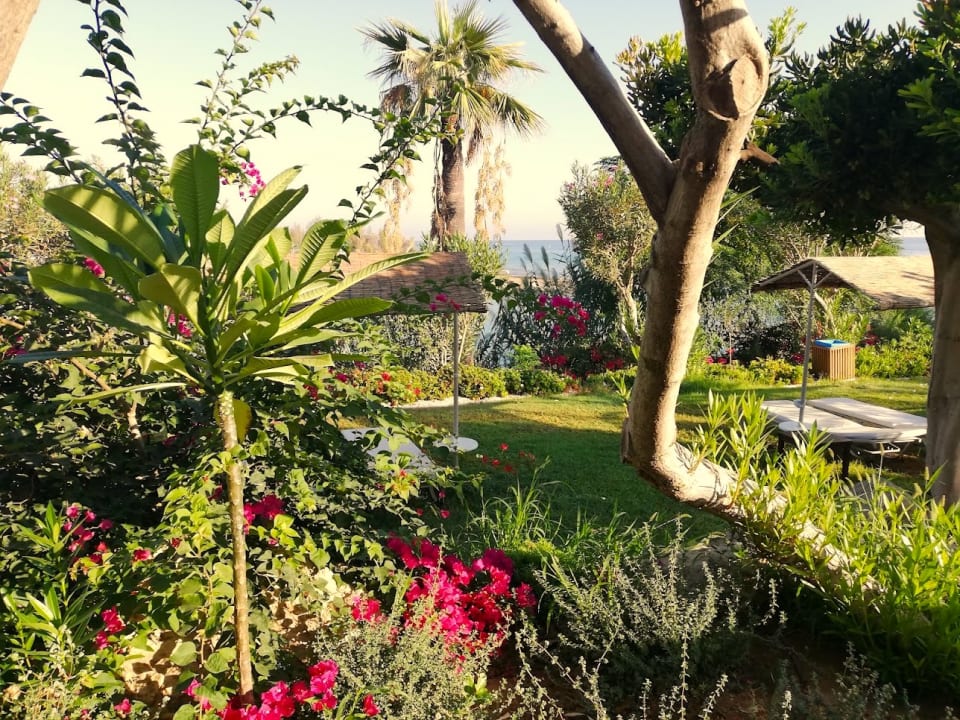 Gartenanlage Crystal Springs Beach Hotel