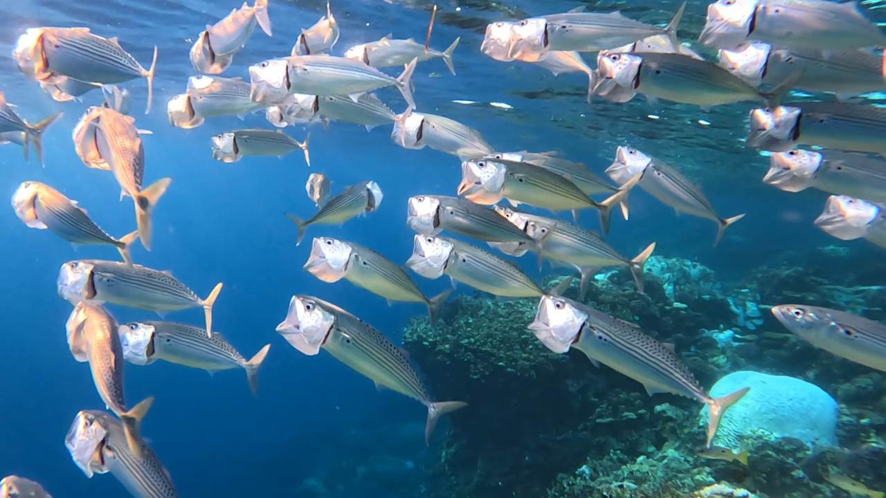 Strand Casa Mare Resort