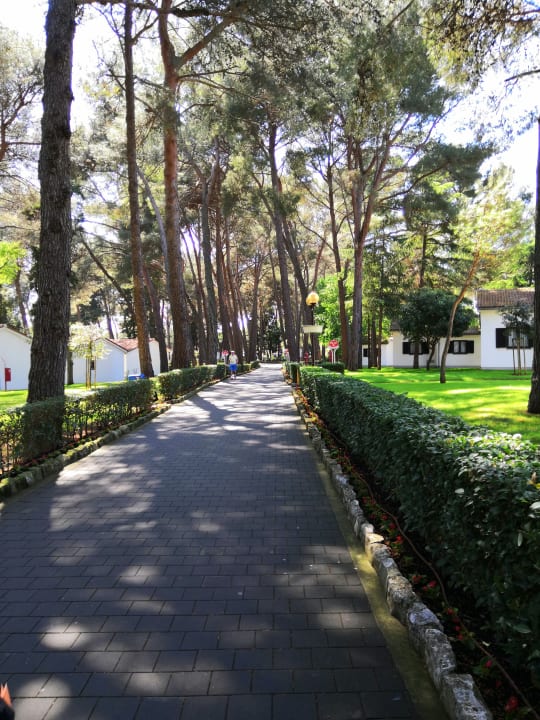 Gartenanlage Village Galijot Plava Laguna