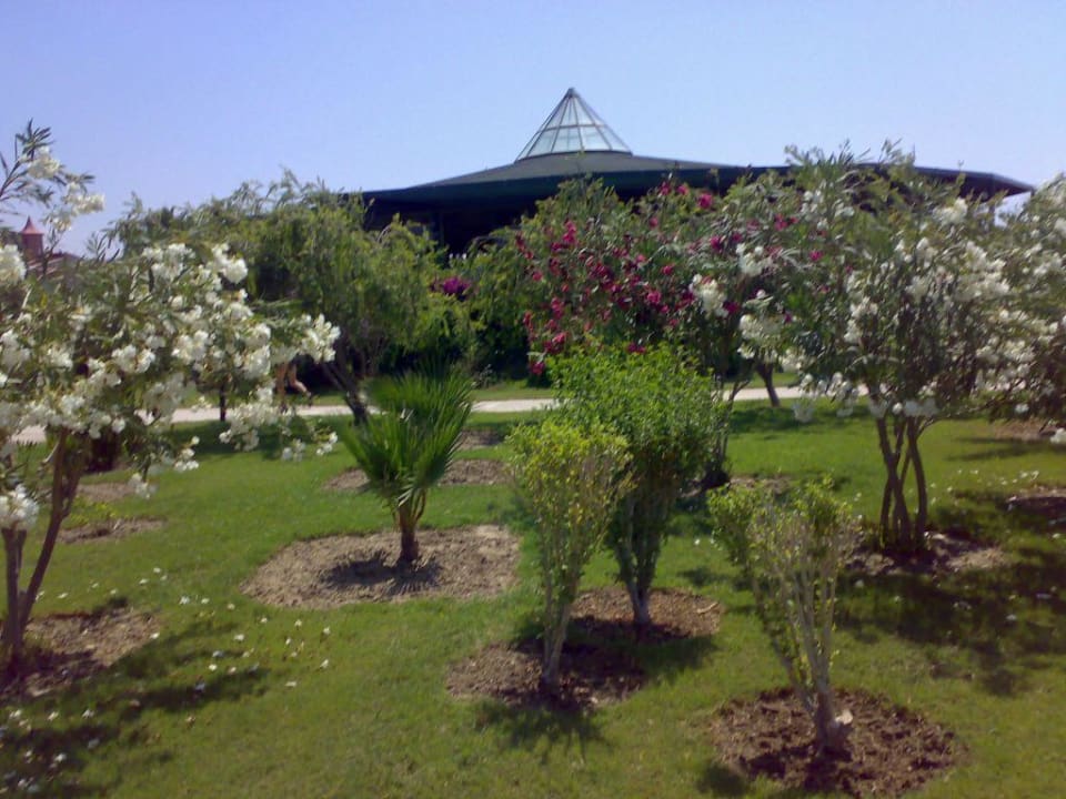 Gartenanlage VONRESORT Golden Coast