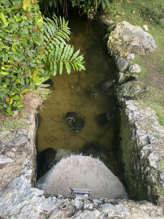 Gartenanlage Caribe Deluxe Princess