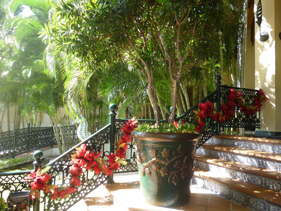 Eingangsbereich Senator Puerto Plata Hotel