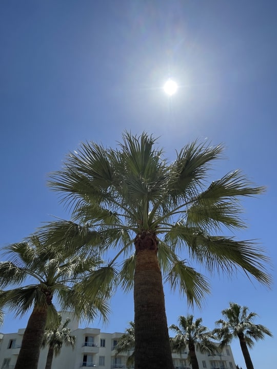 Gartenanlage allsun App.-Hotel Orient Beach