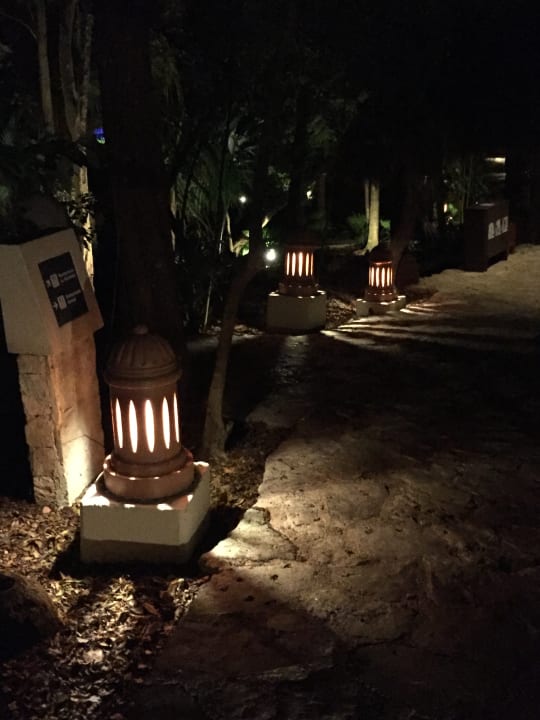 Gartenanlage Iberostar Waves Tucan