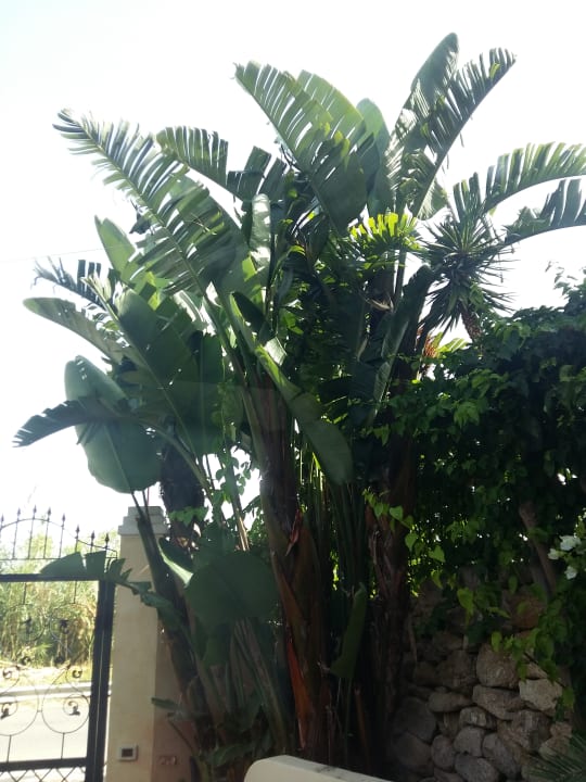 Sonstiges Hotel Cannamele Resort