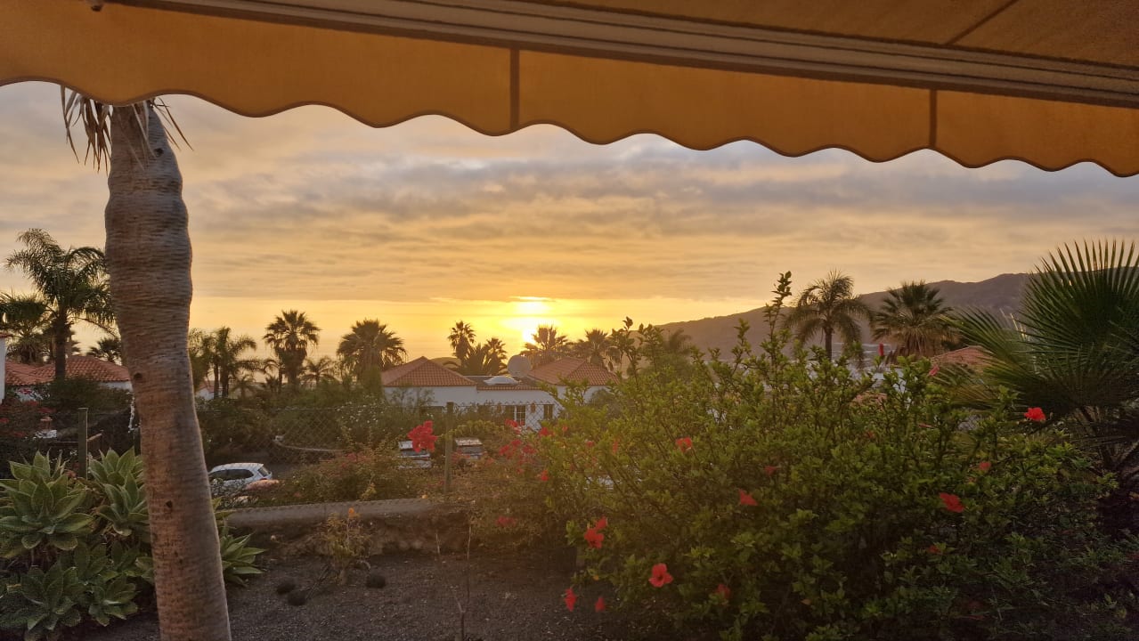 Ausblick La Palma Jardin