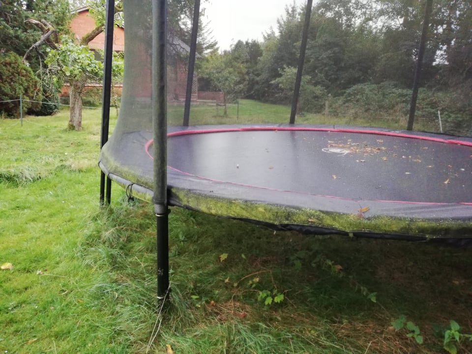 Gartenanlage Apartment Hockmannshof