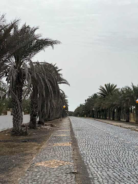 Außenansicht Meliá Dunas Beach Resort & Spa