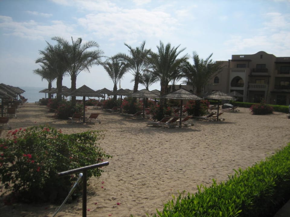 Blick auf Hauptstrandbereich Miramar Al Aqah Beach Resort