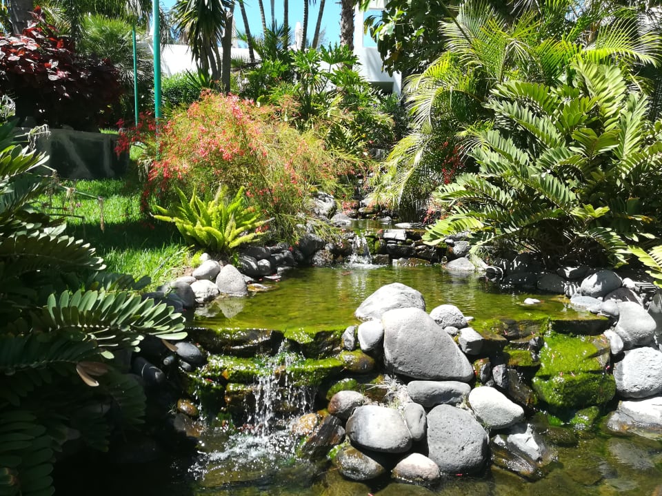 Gartenanlage allsun Hotel Lucana