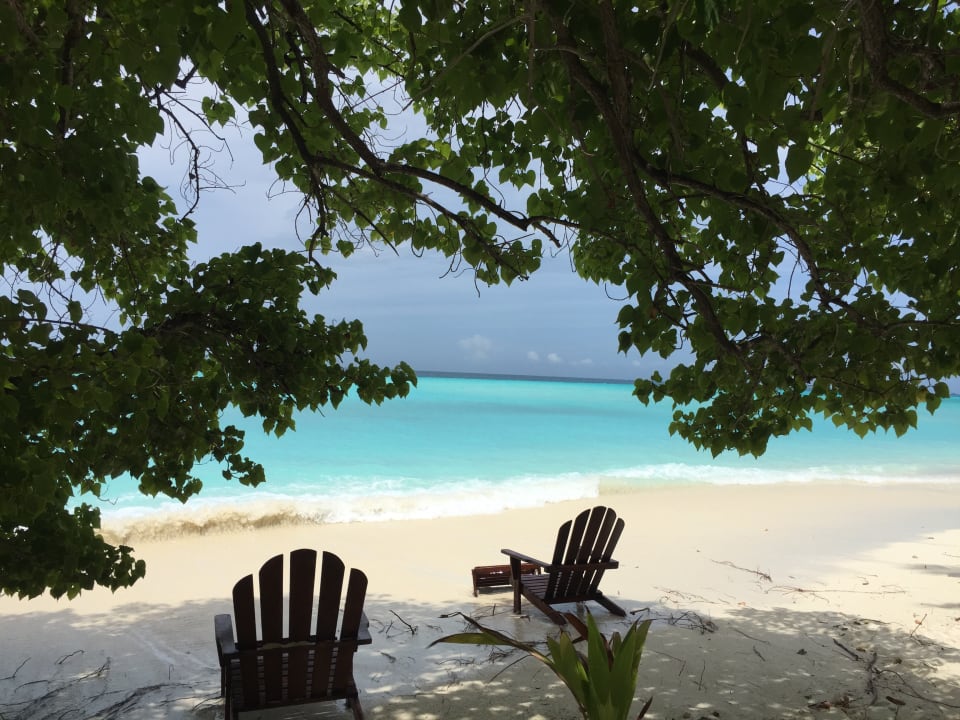 Strand Summer Island Maldives