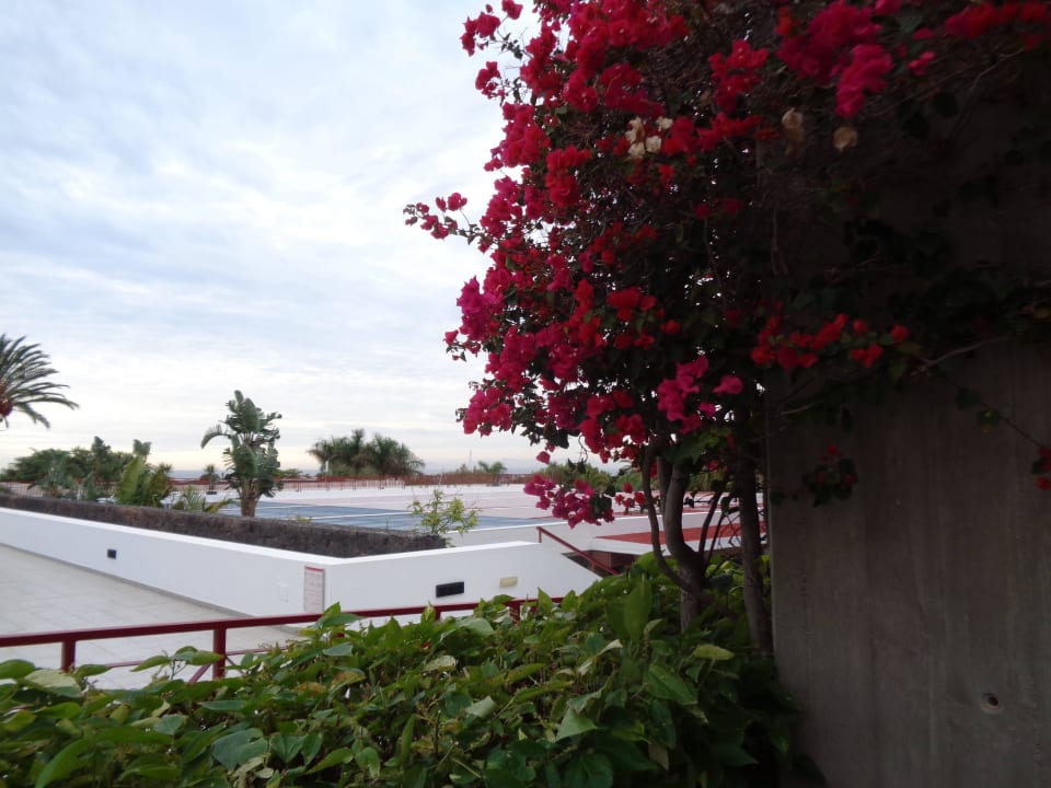 Blick vom Frühstücksstück Hotel Costa Calero