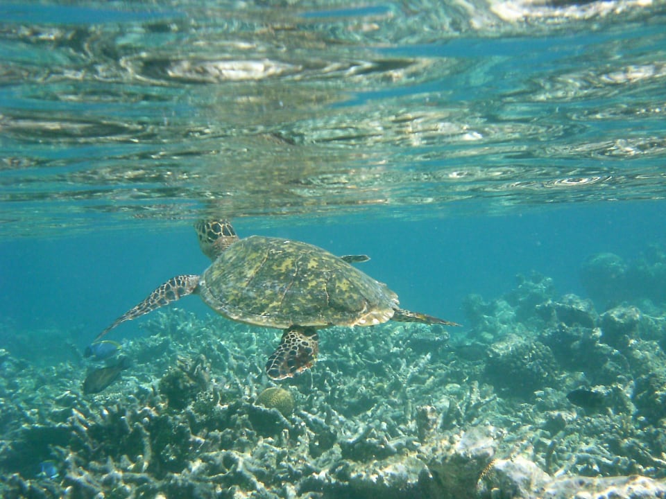 Sport & Freizeit Mirihi Island Resort