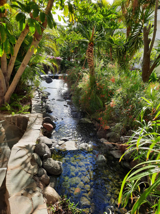 Gartenanlage allsun Hotel Lucana