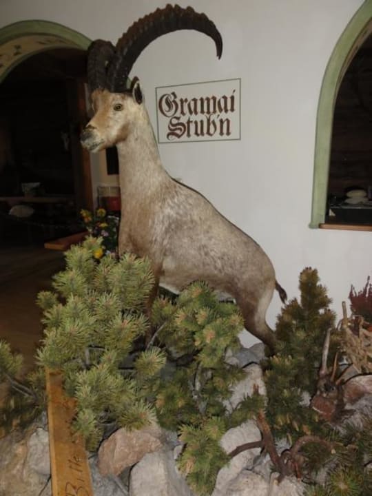 Vor der Gramai Stubn Gramai Alm alpengenuss & natur spa
