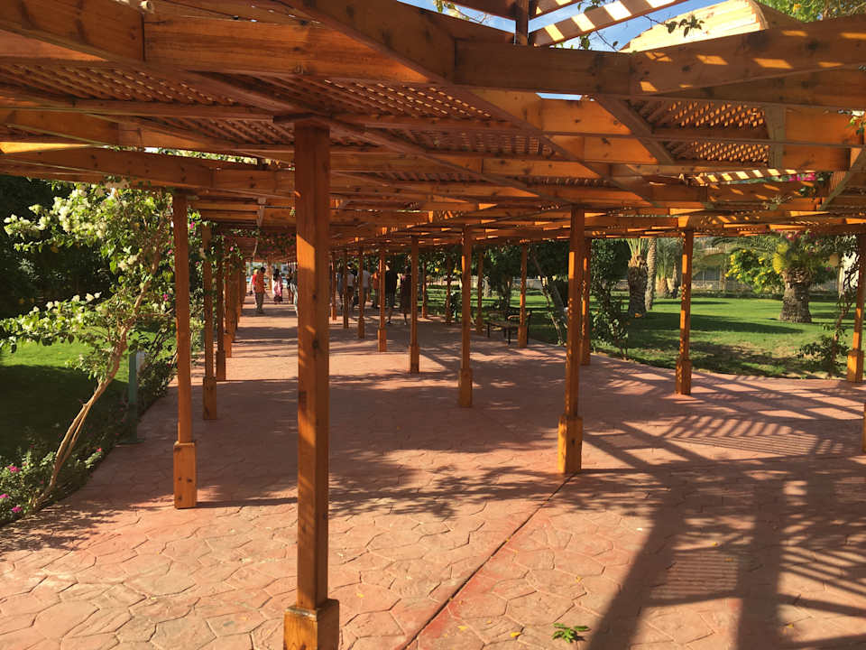 Alles sehr sehr gepflegt Desert Rose