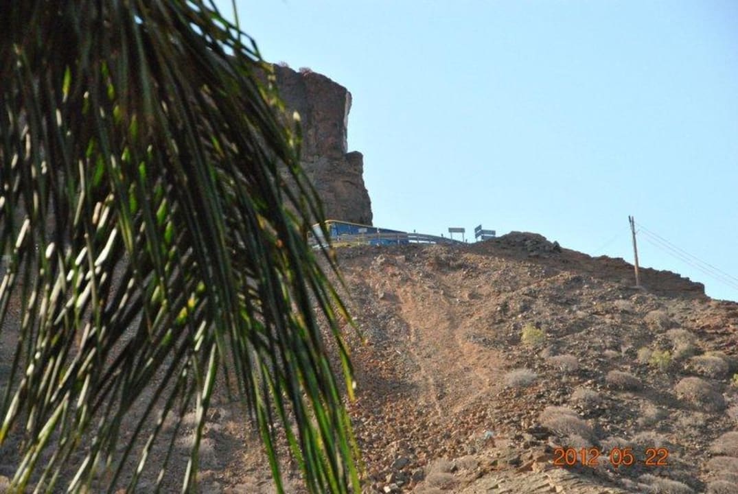 Hupkonzert  Hotel Cordial Mogán Playa