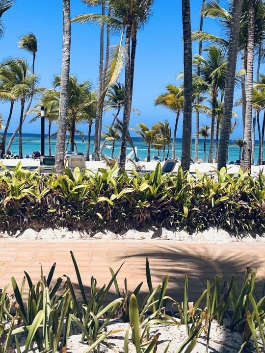 Strand Hotel Riu Bambu