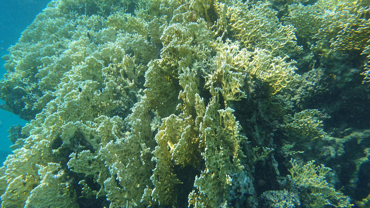 Sport & Freizeit Utopia Beach Club