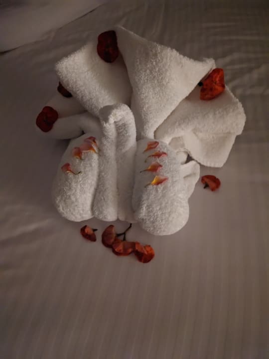 Zimmer Lazuli Hotel Marsa Alam