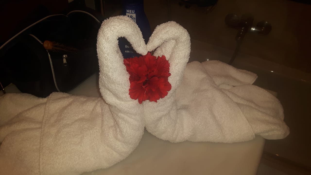 Zimmer Mitsis Selection Rinela