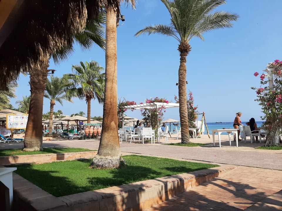 Gastro Fort Arabesque Resort, Spa & Villas