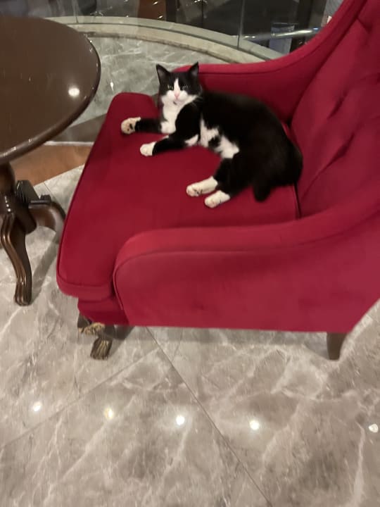 Sonstiges Limak Limra Hotel & Resort