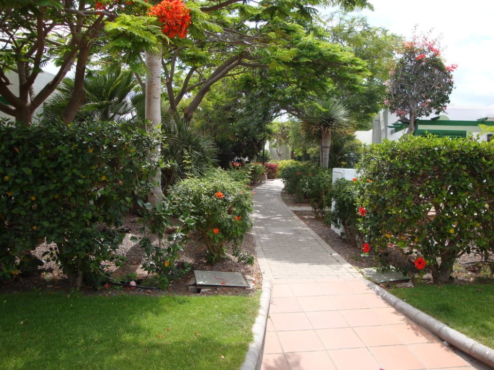 Rundweg Bungalows Cordial Sandy Golf