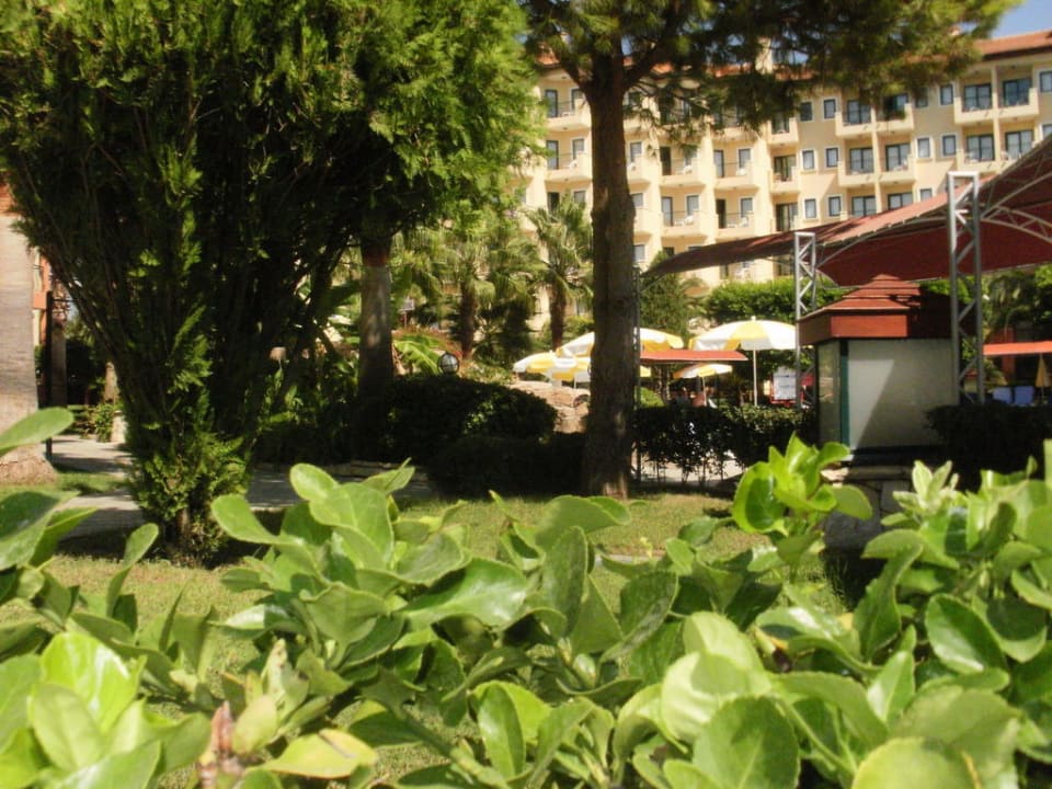 Garten Miramare Queen Hotel