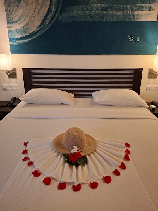 Zimmer Club Hotel Dolphin