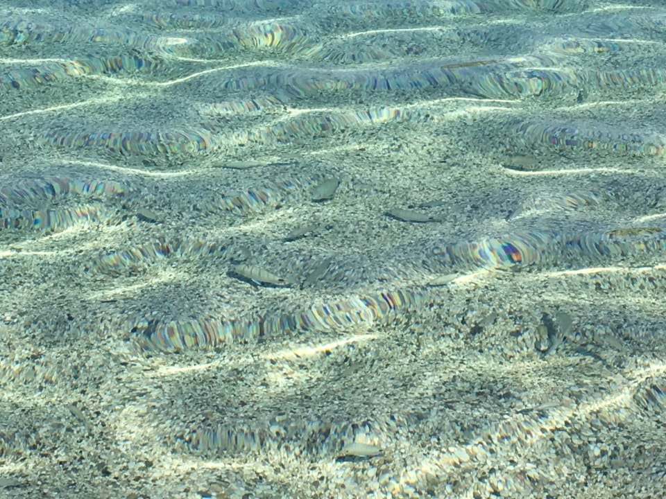 Strand Hillside Beach Club